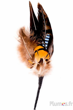 Composition en plumes n° 2 - longueur 14 cm - naturel